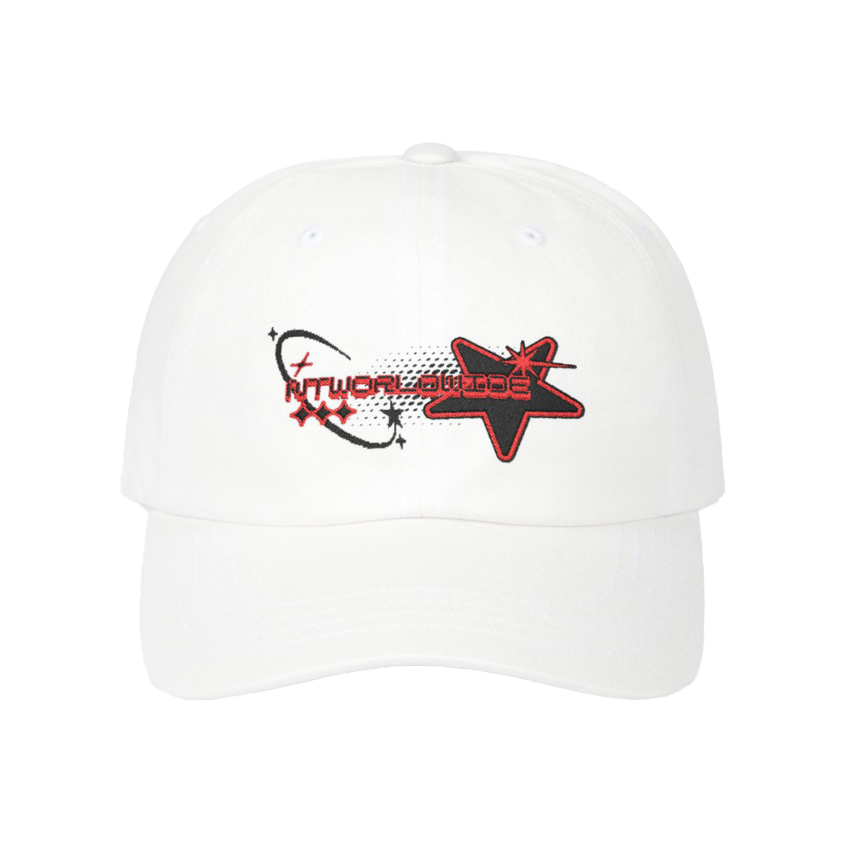 NT Worldwide Dad Hat