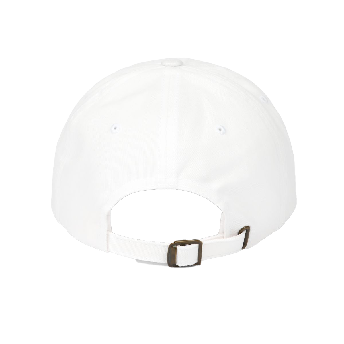 NT Worldwide Dad Hat