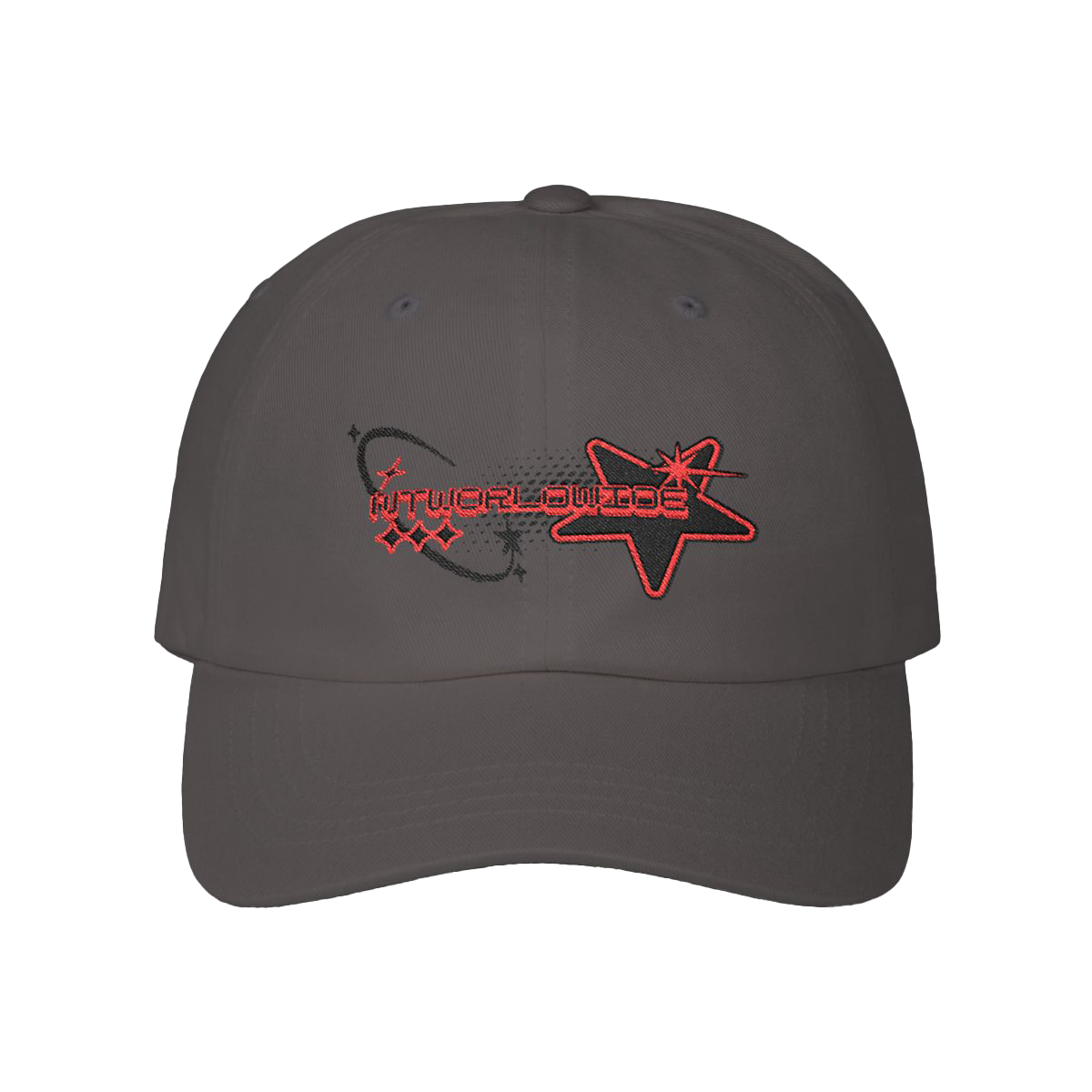 NT Worldwide Dad Hat