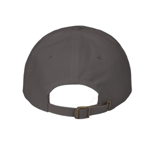NT Worldwide Dad Hat
