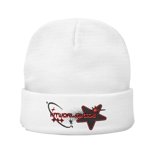 NT Worldwide Embroidered Beanie