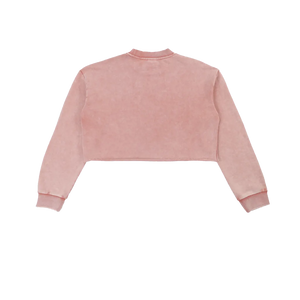Snow Washed Raw Edge Cropped Sweatshirt