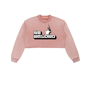Snow Washed Raw Edge Cropped Sweatshirt